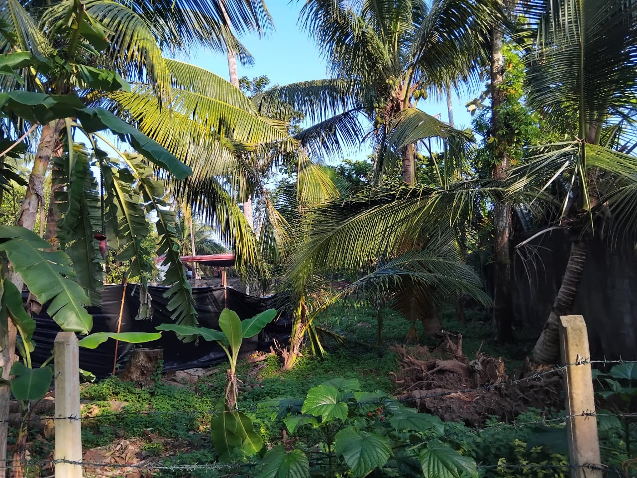 15.50 Purchase Land for Sale Wadduwa