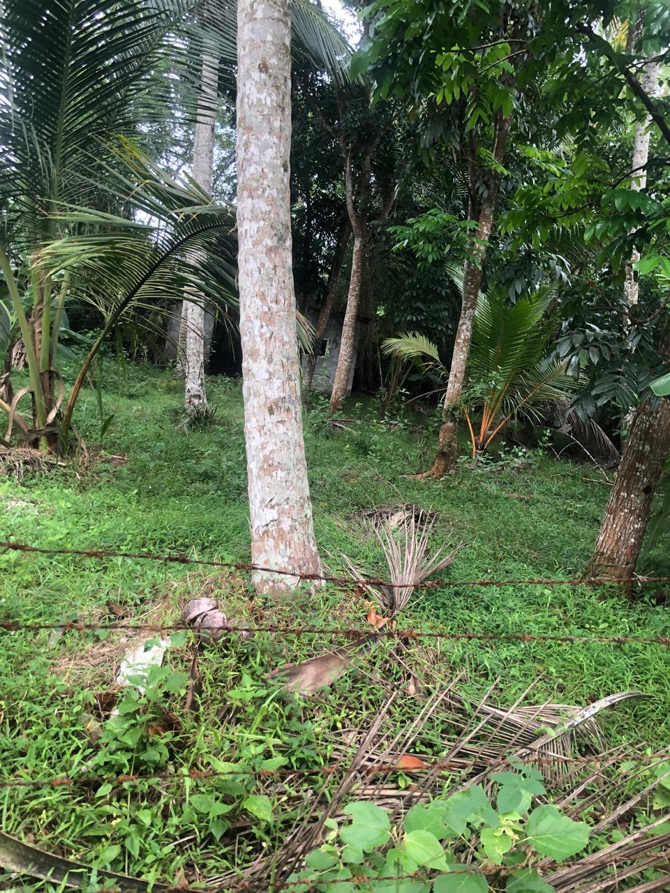 Land for Sale in Kottawa Rukmalgama