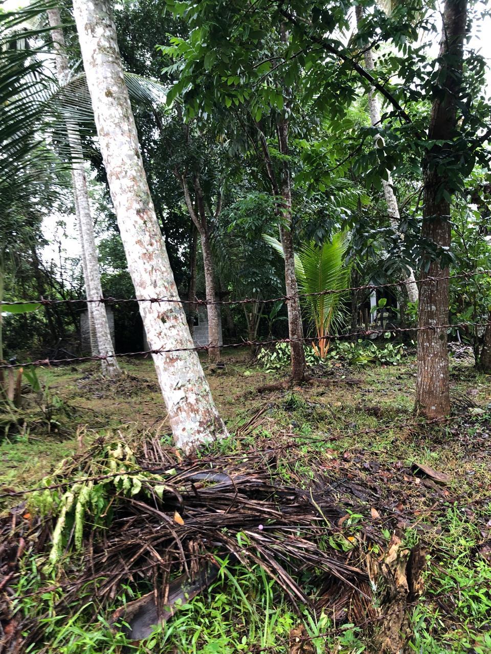 Land for Sale in Kottawa Rukmalgama