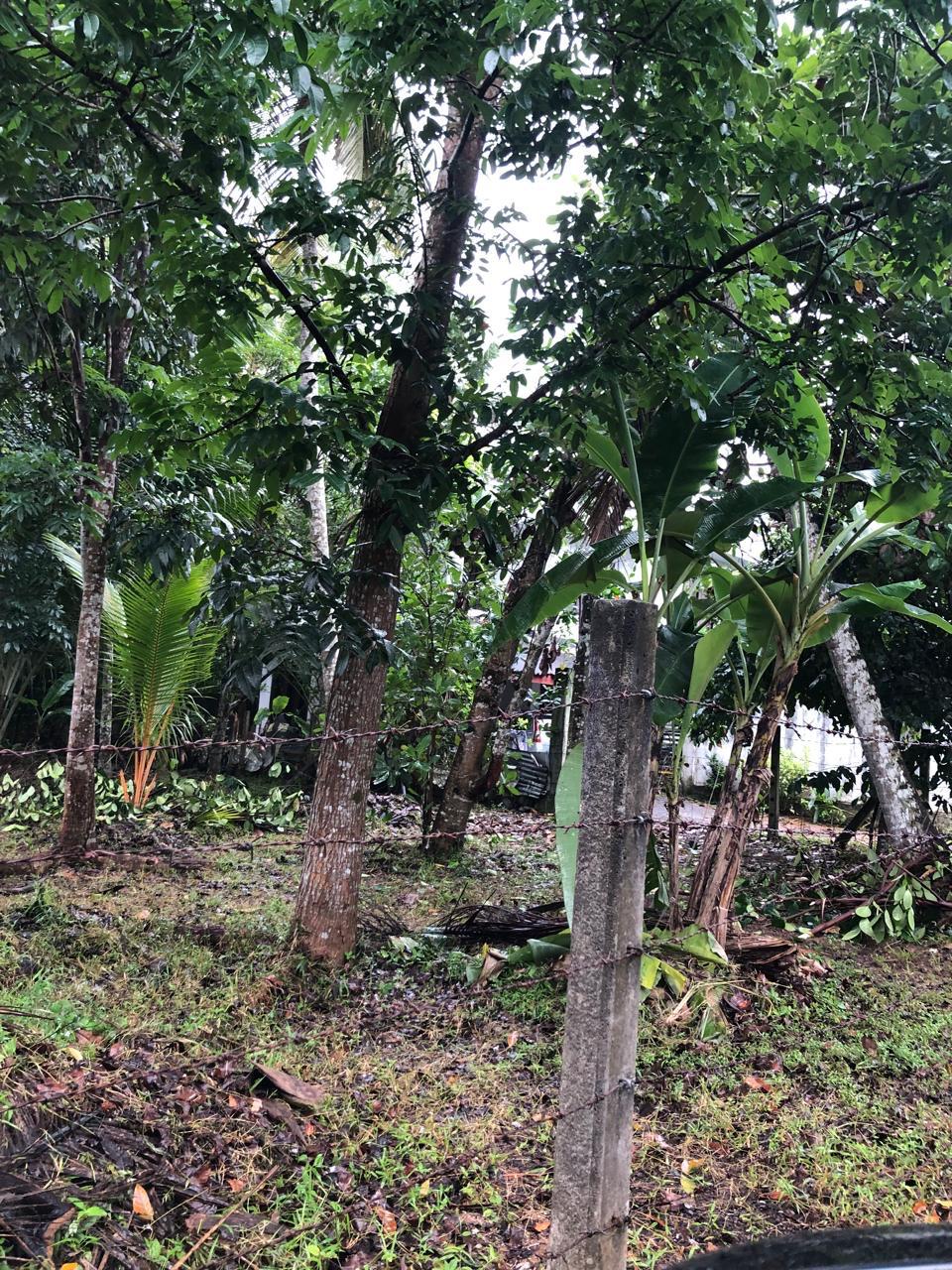 Land for Sale in Kottawa Rukmalgama