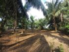 Prime Land for Sale in Hikkaduwa
