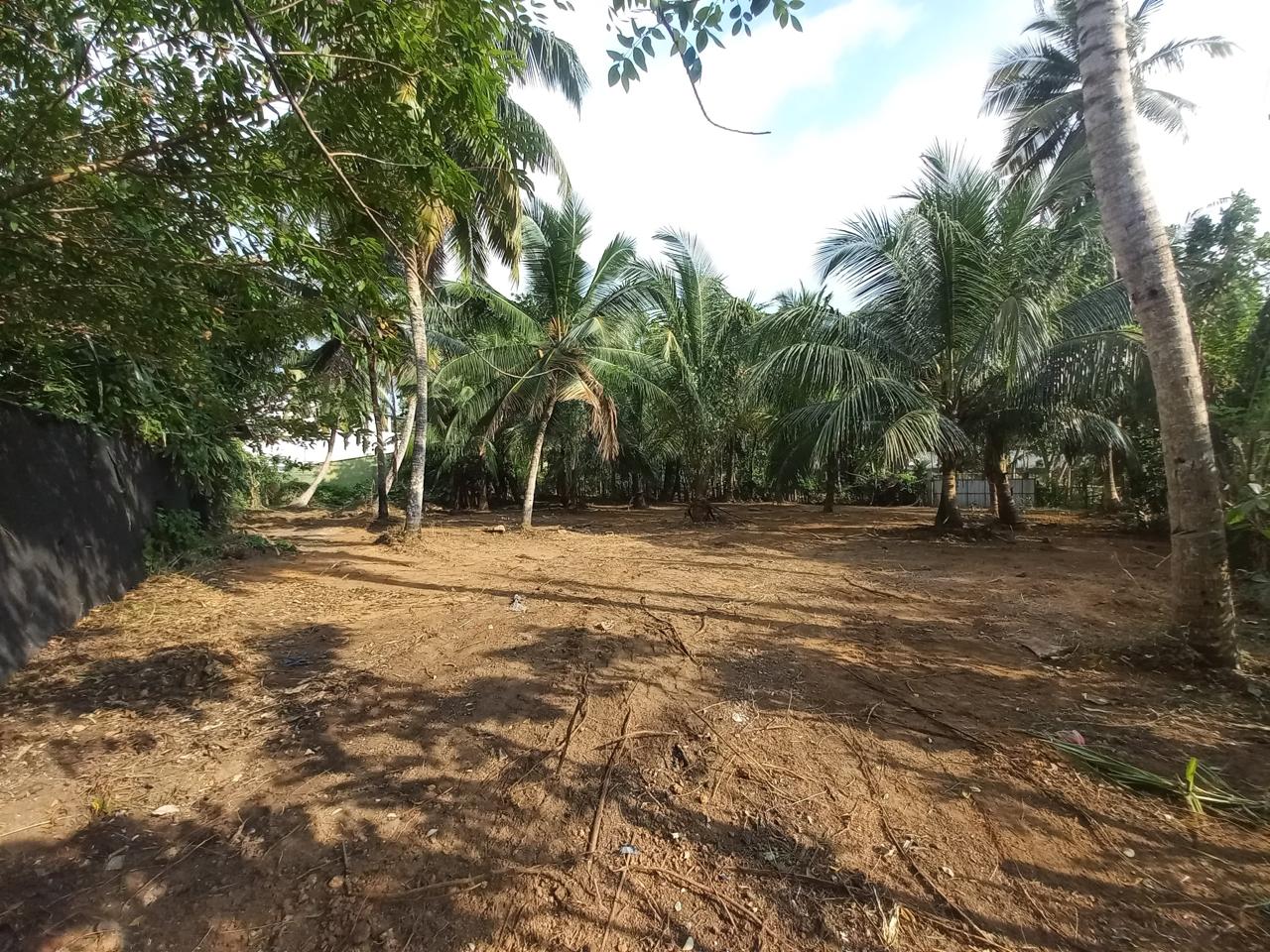 Prime Land for Sale in Hikkaduwa