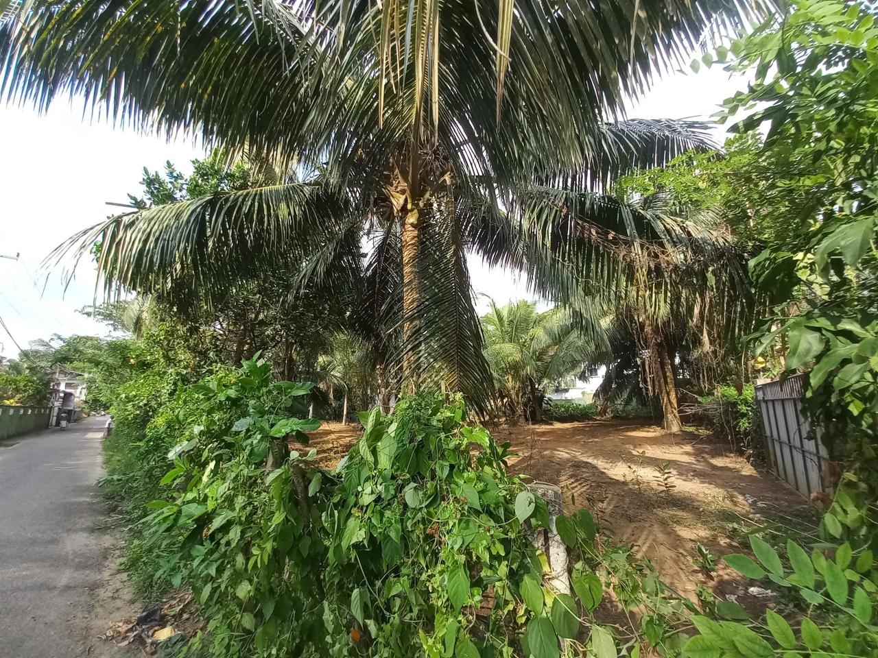 Prime Land for Sale in Hikkaduwa