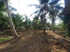 Prime Land for Sale in Hikkaduwa