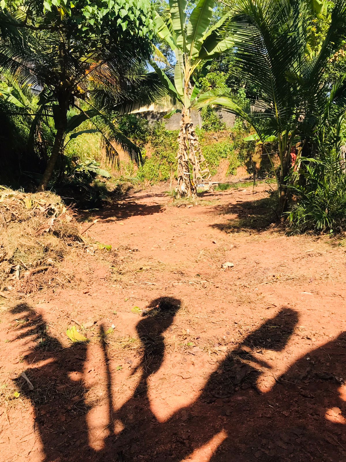 Land for Sale in Yakkala