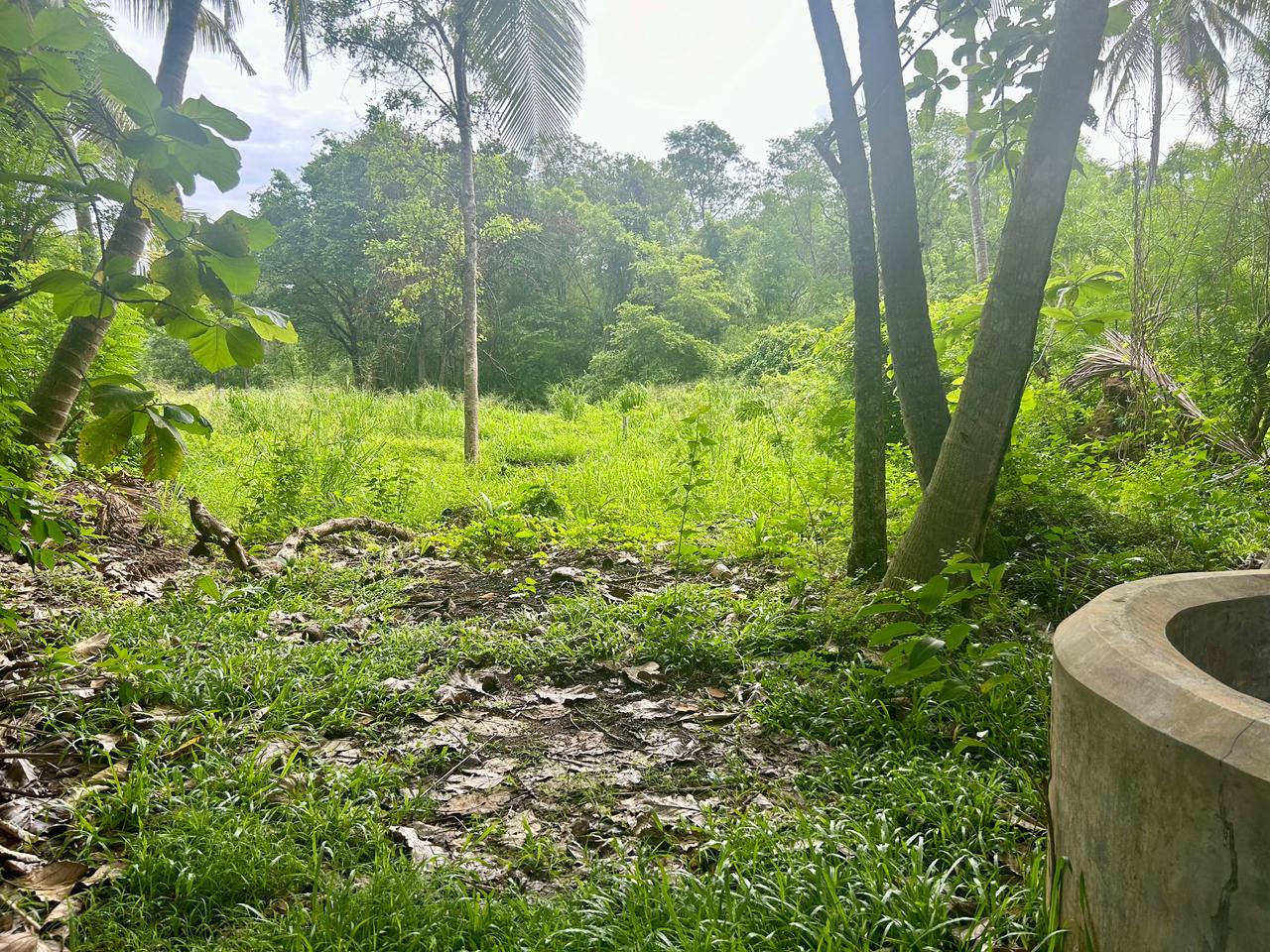 Land for Sale in Kumbukgete