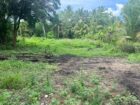Land for Sale in Kumbukgete