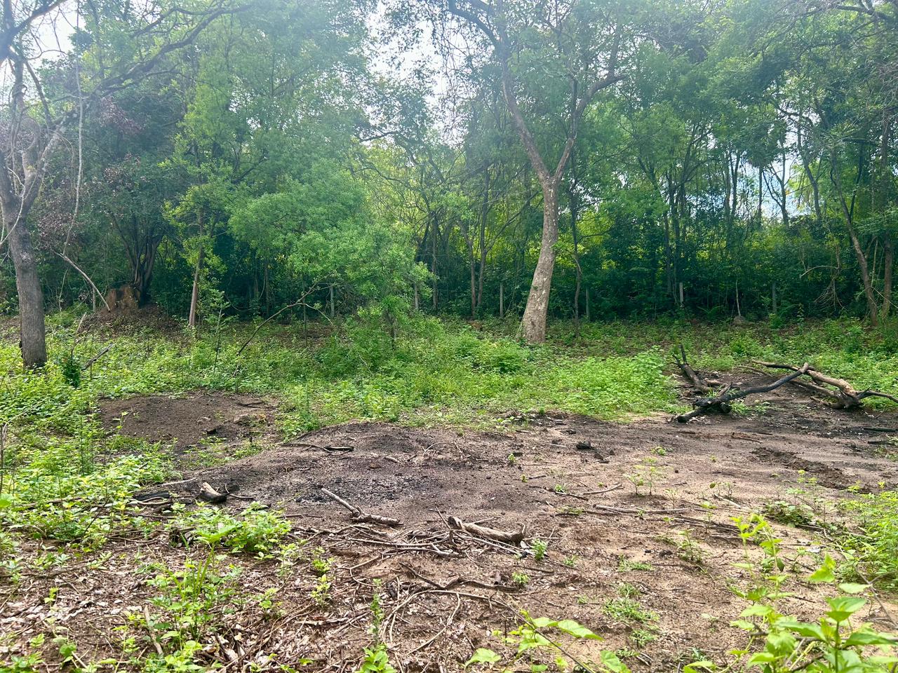 Land for Sale in Kumbukgete