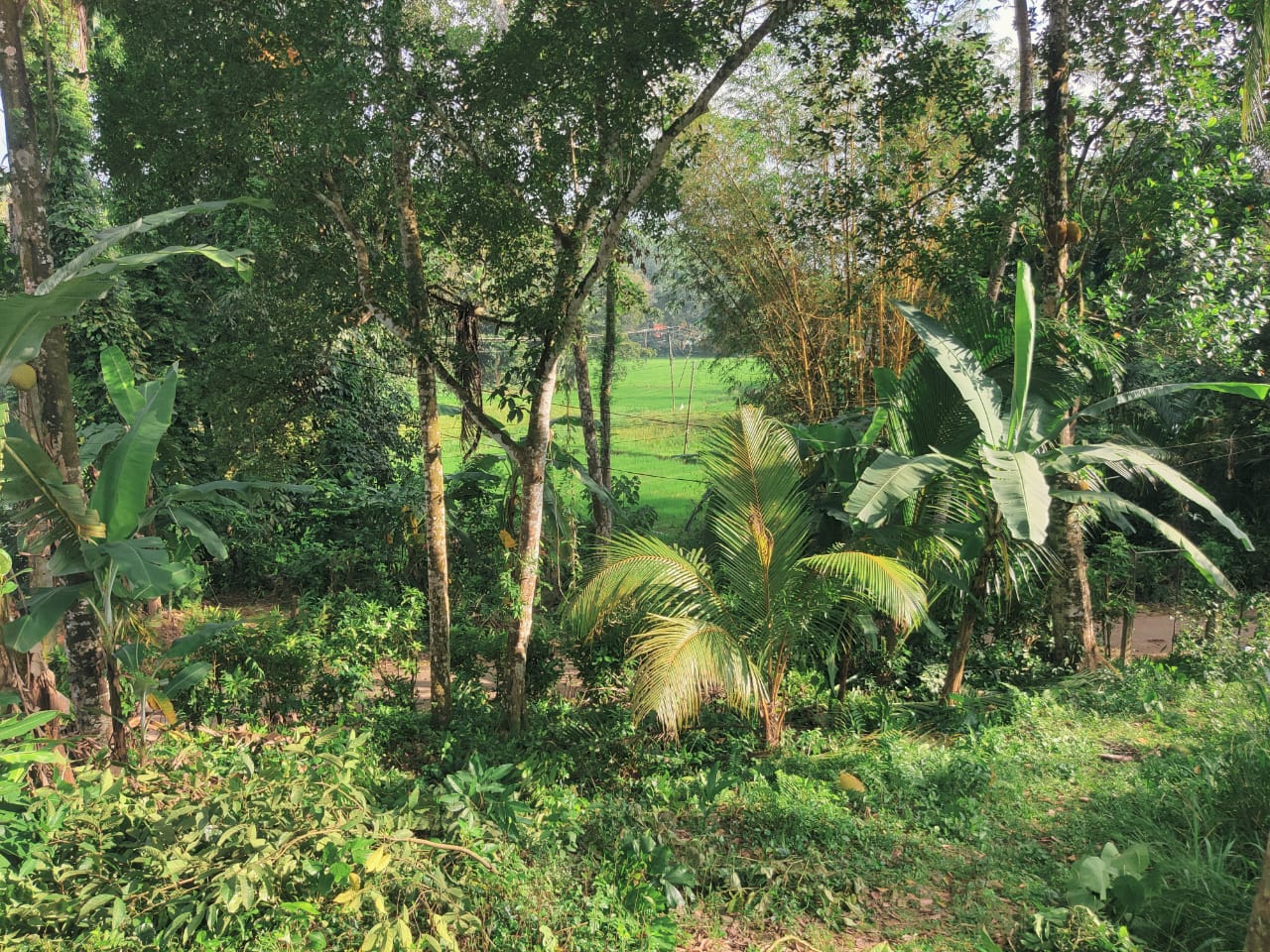 Land for Sale with 100 Years Old Antique House Galle