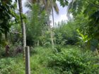 Land For Sale In Galle