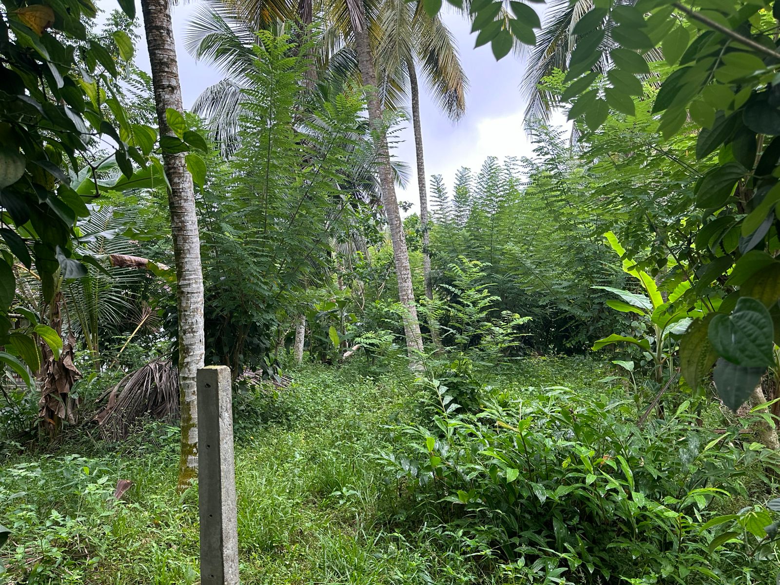 Land For Sale In Galle