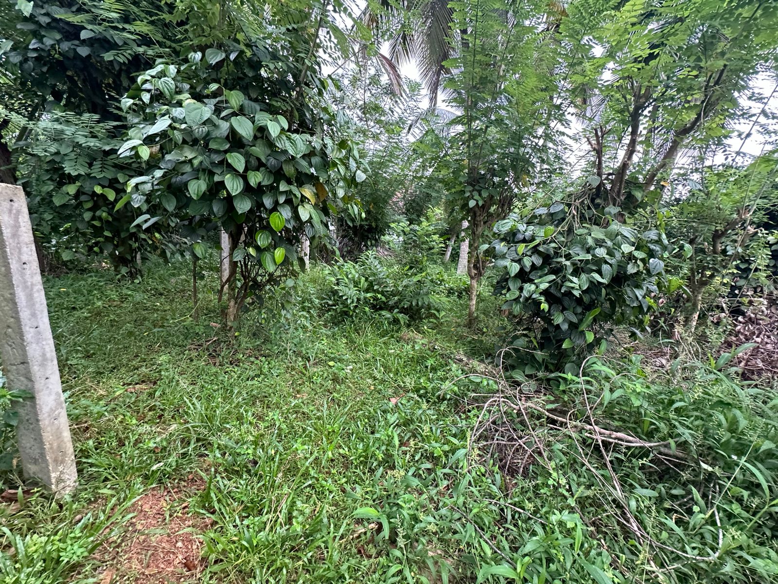 Land For Sale In Galle