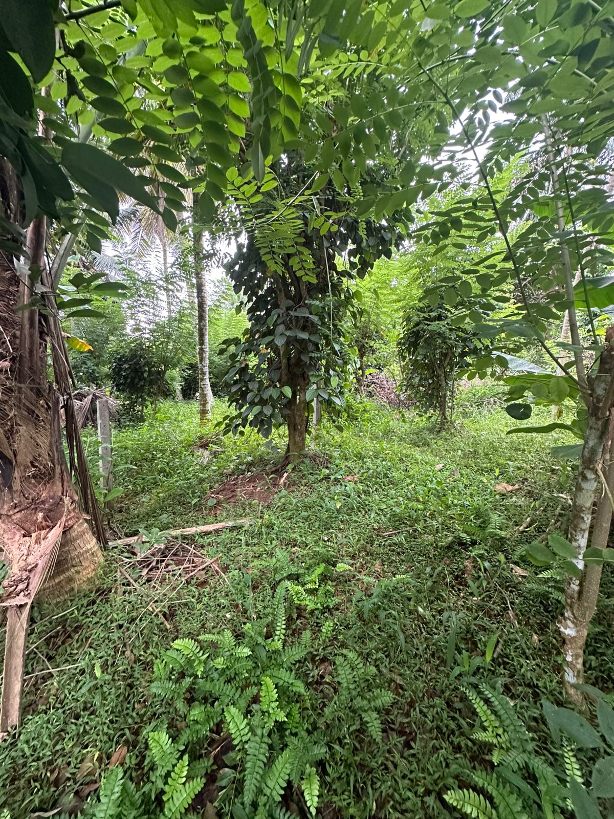 Land For Sale In Galle