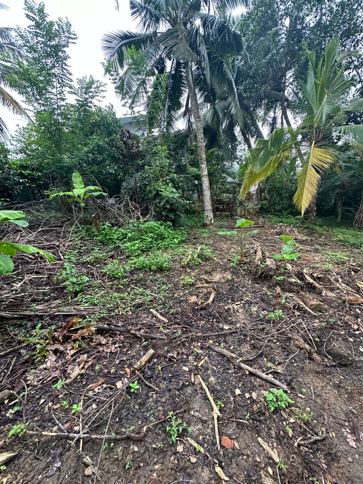Land For Sale In Galle