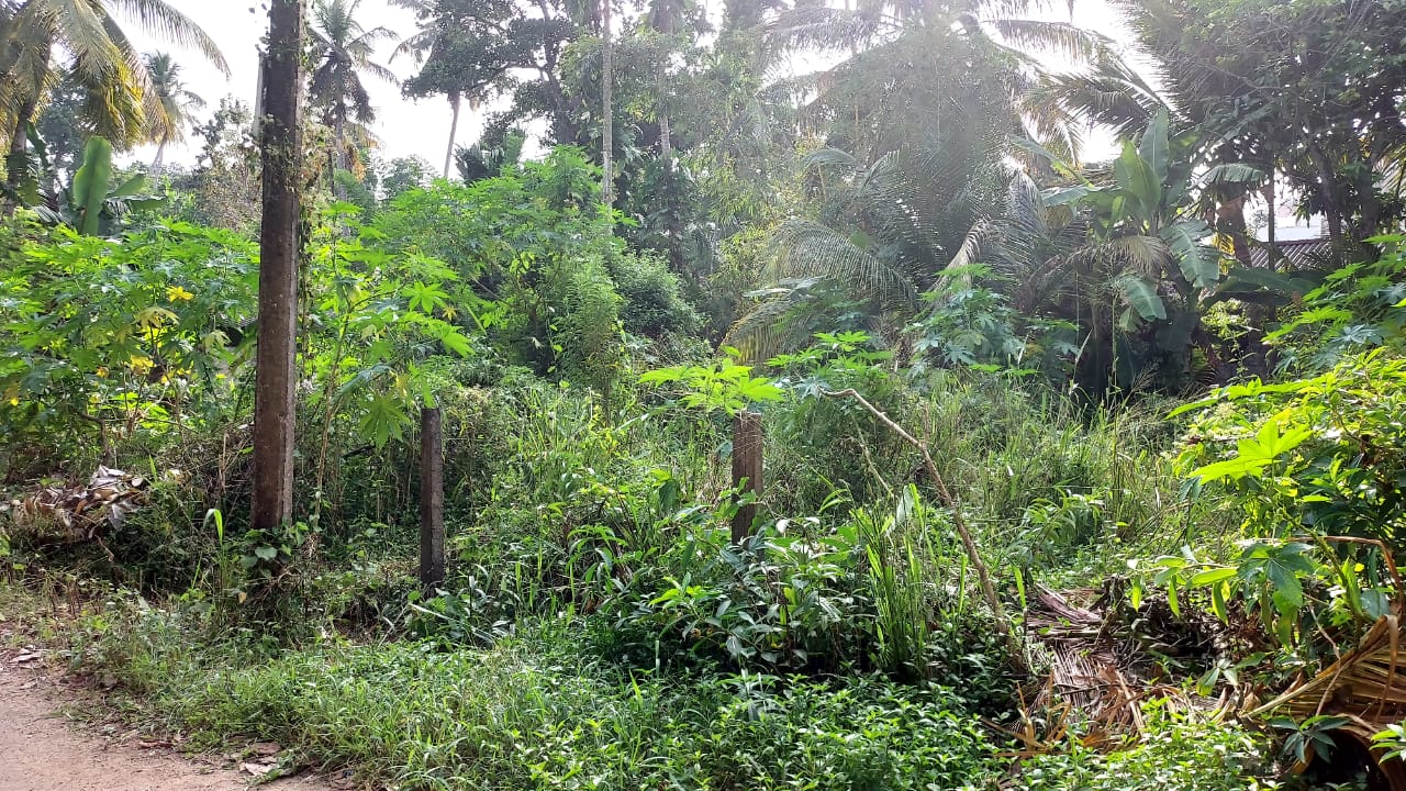Land for Sale in Watareka,Galle
