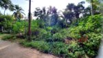 Land for Sale in Watareka,Galle