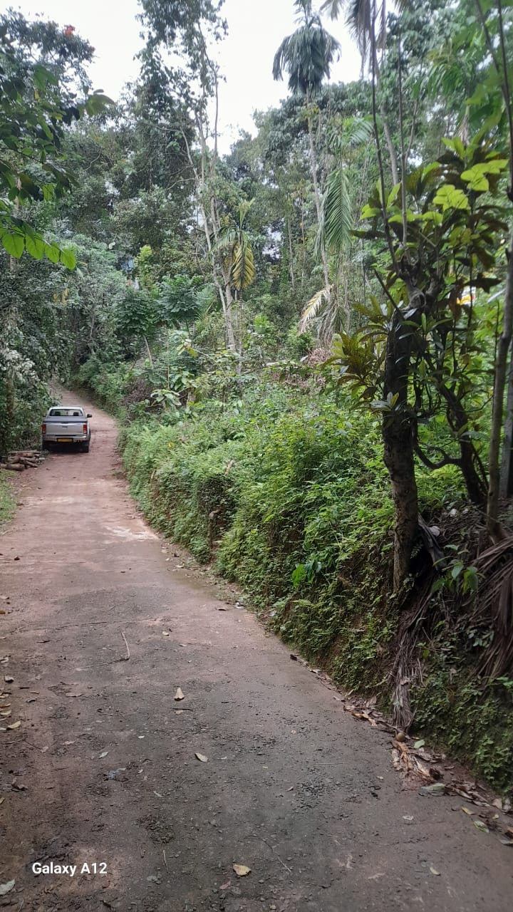 Land for Sale Kandy