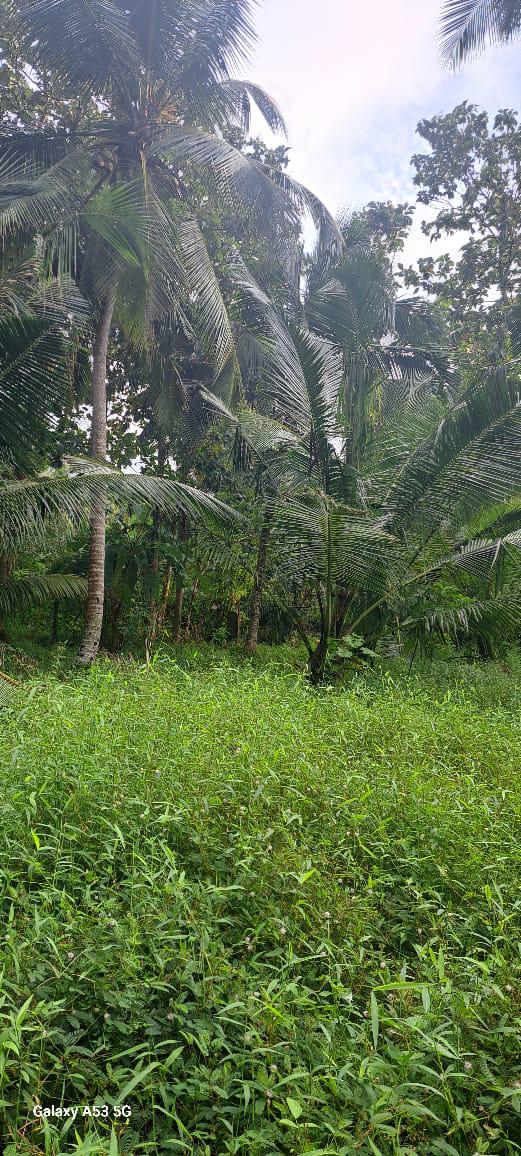 අගනා ඉඩමක් විකිණීමට / Prime Land for Sale – Dunagaha, Divulapitiya