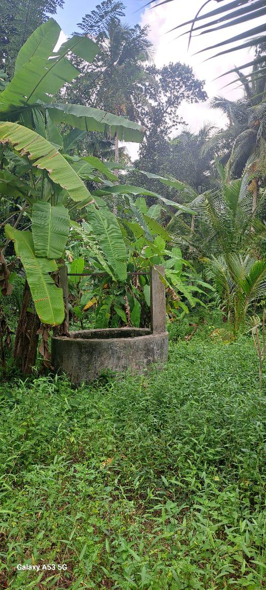 අගනා ඉඩමක් විකිණීමට / Prime Land for Sale – Dunagaha, Divulapitiya