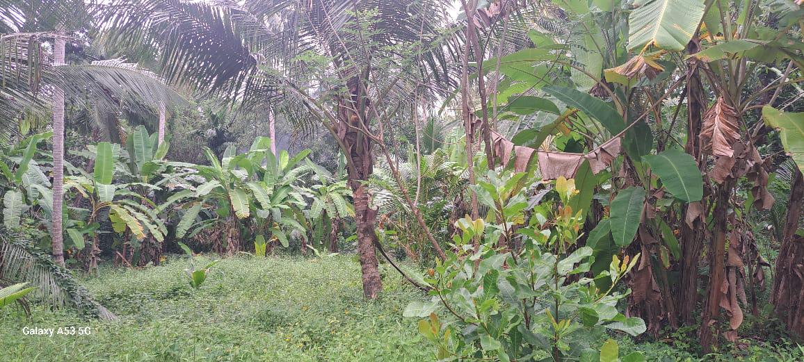 අගනා ඉඩමක් විකිණීමට / Prime Land for Sale – Dunagaha, Divulapitiya