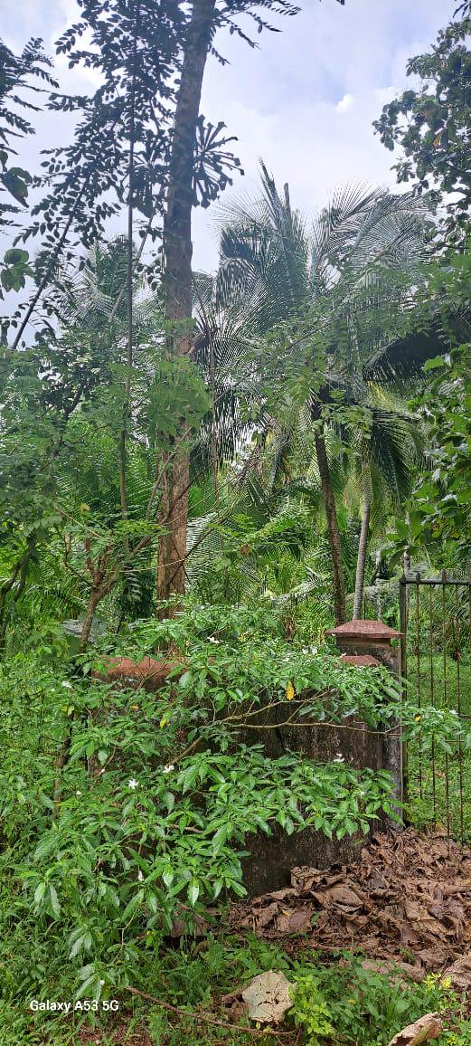 අගනා ඉඩමක් විකිණීමට / Prime Land for Sale – Dunagaha, Divulapitiya