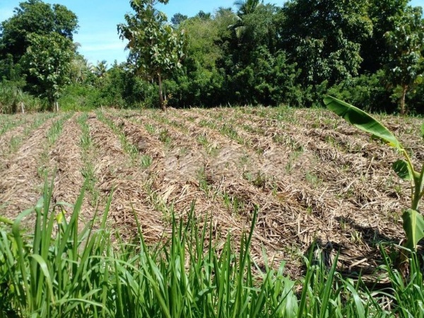 Land for Sale Between Yudaganawa Rajamaha Viharaya and Manik River