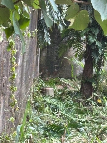 පදිංචිය හෝ ව්‍යාපාරික Land Sale in Battaramulla