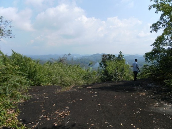 Rubber + Coconut Land in Matugama – 7km from highway