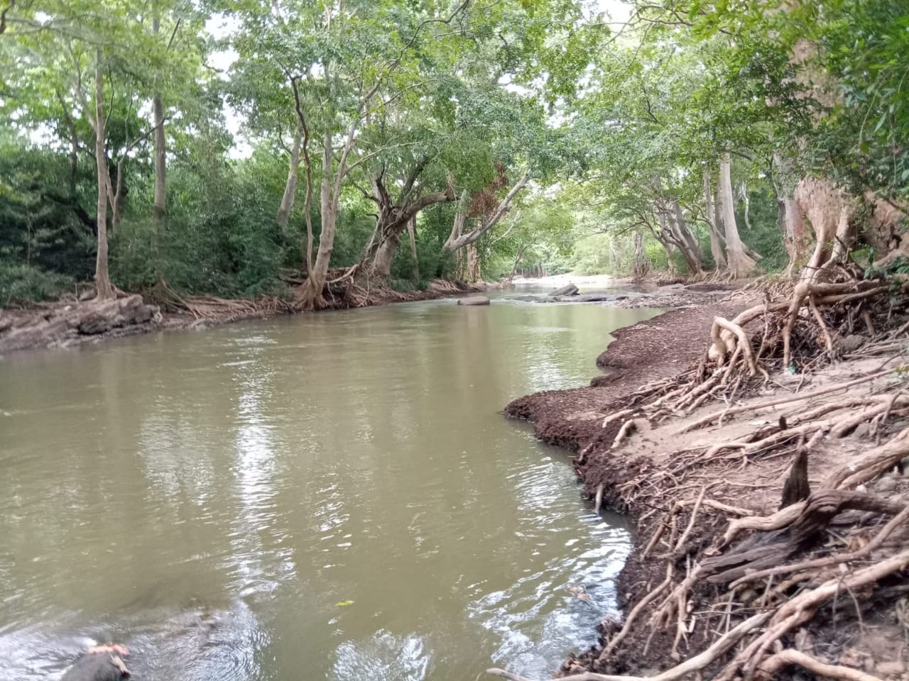 Land for Sale in Thanamalvila