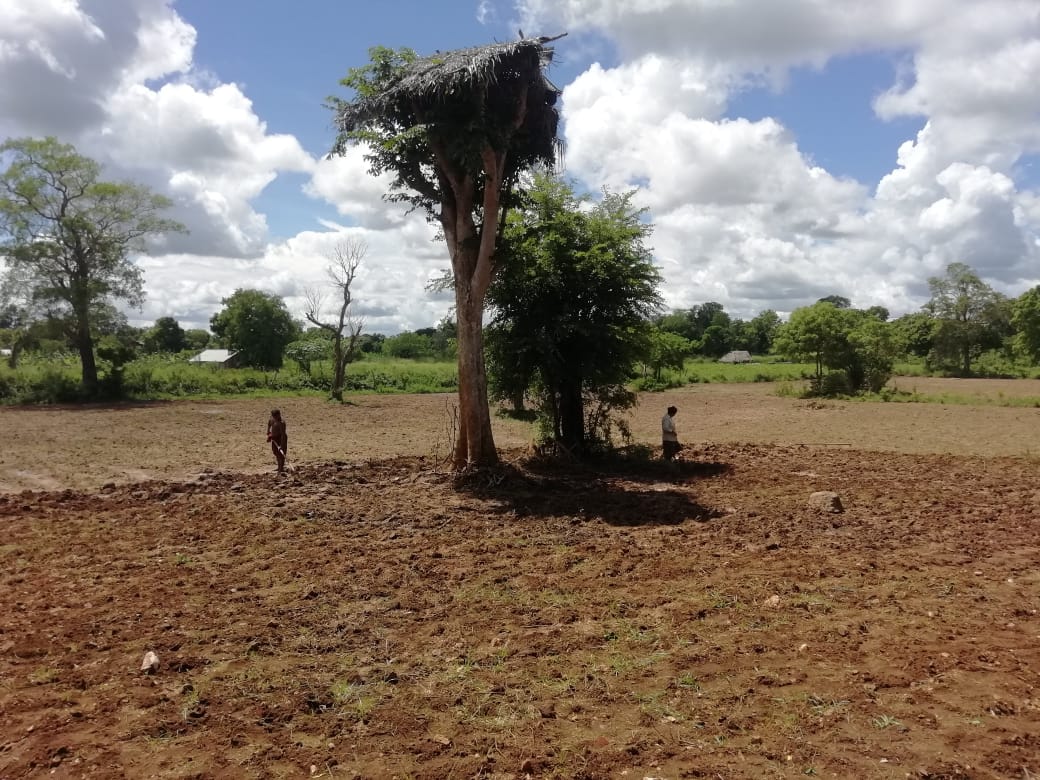 Land for Sale in Thanamalvila