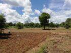 Land for Sale in Thanamalvila