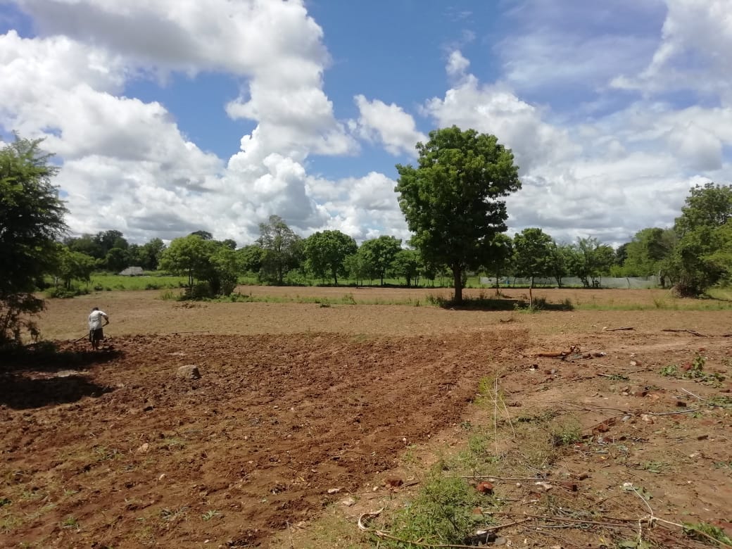 Land for Sale in Thanamalvila