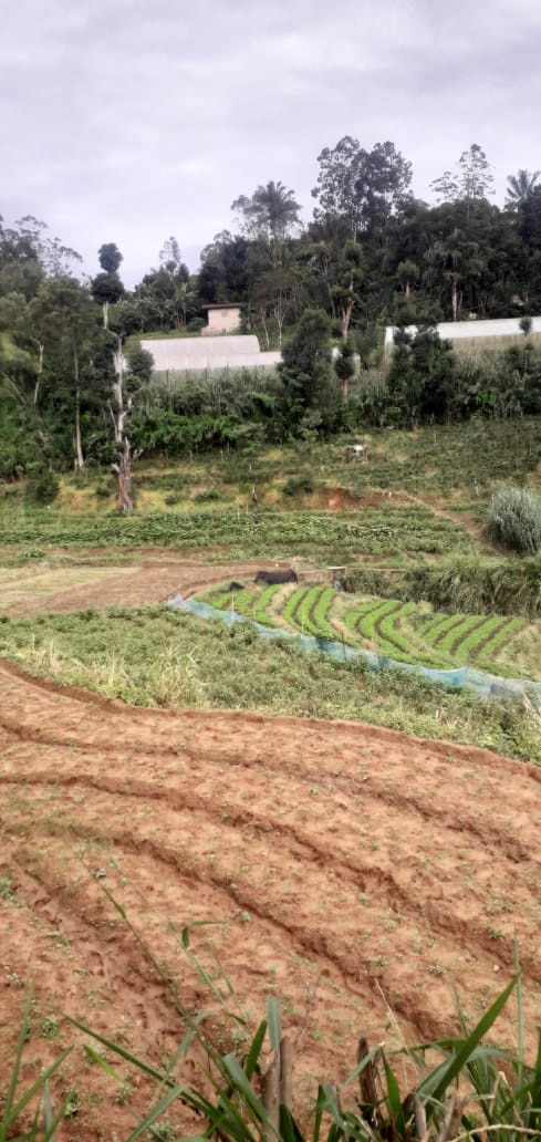 Land For Sale Dangamuwa,Abagasduuwa