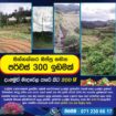 Land For Sale Dangamuwa,Abagasduuwa