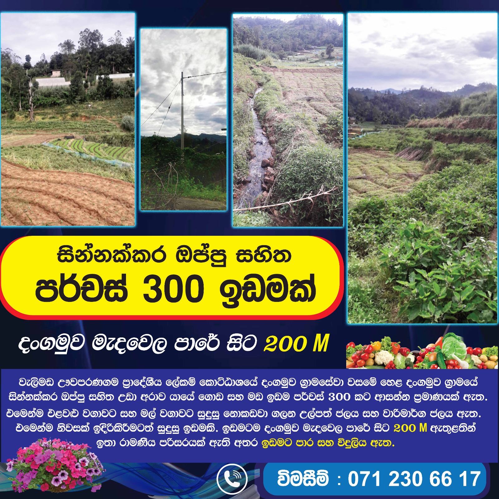 Land For Sale Dangamuwa,Abagasduuwa