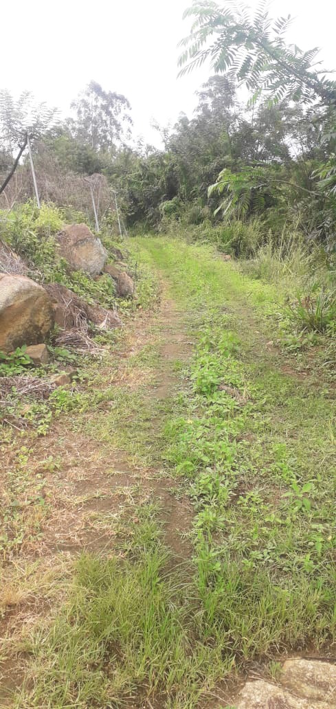 Land For Sale Dangamuwa,Abagasduuwa