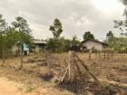32 Perches Land for Sale in Katukenda, Divulapitya