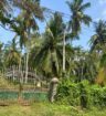 Land for Sale Anavilundawa,Maiyawa.