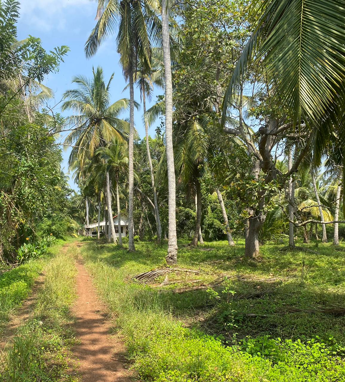 Land for Sale Anavilundawa,Maiyawa.