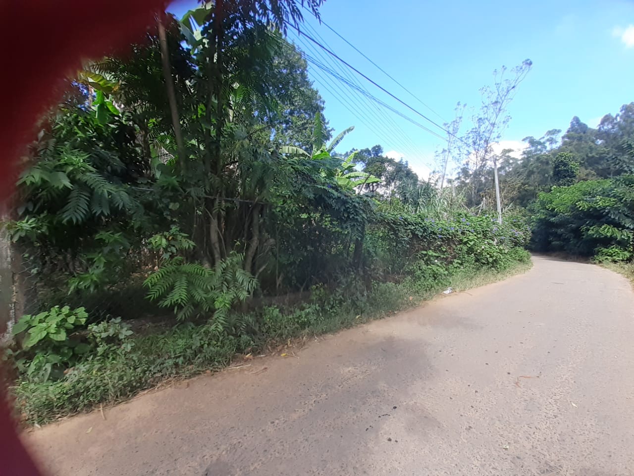 Land for sale in welimada