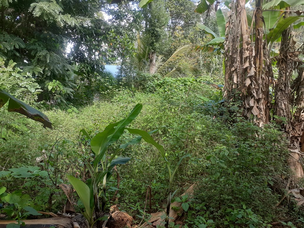 Land for sale in welimada