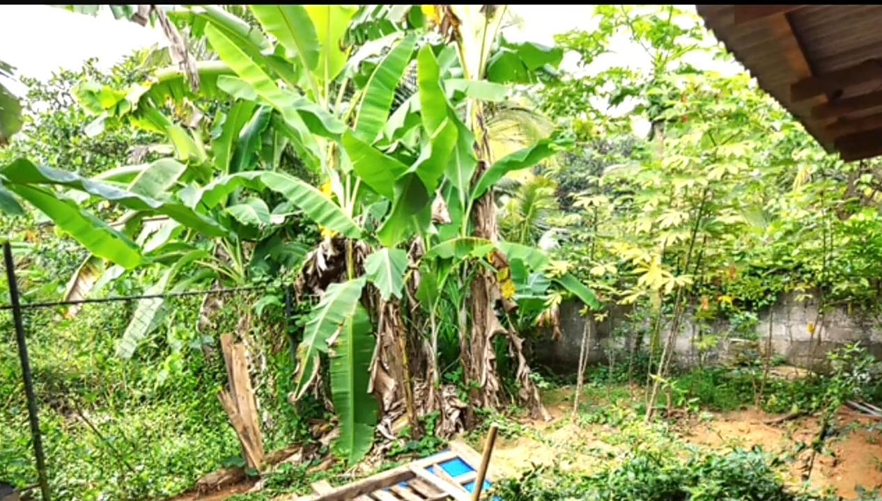 House for Sale in Kiriwaththuduwa කිරිවත්තුඩුව