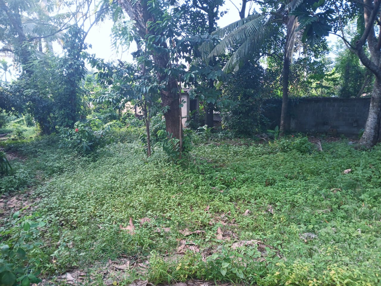 23 Perches Land with House Near Kurunegala Town