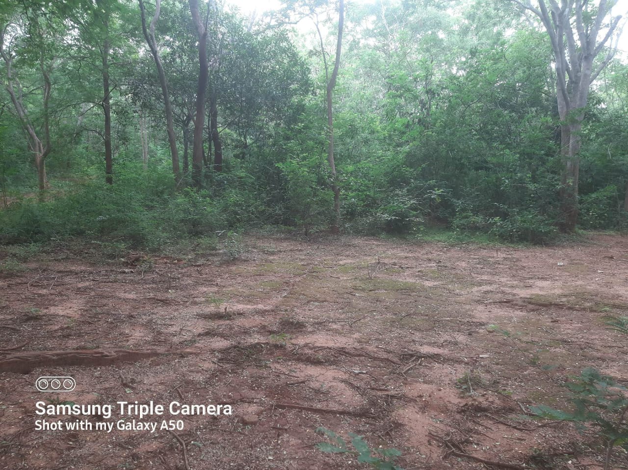 Land for Sale in Kataragama