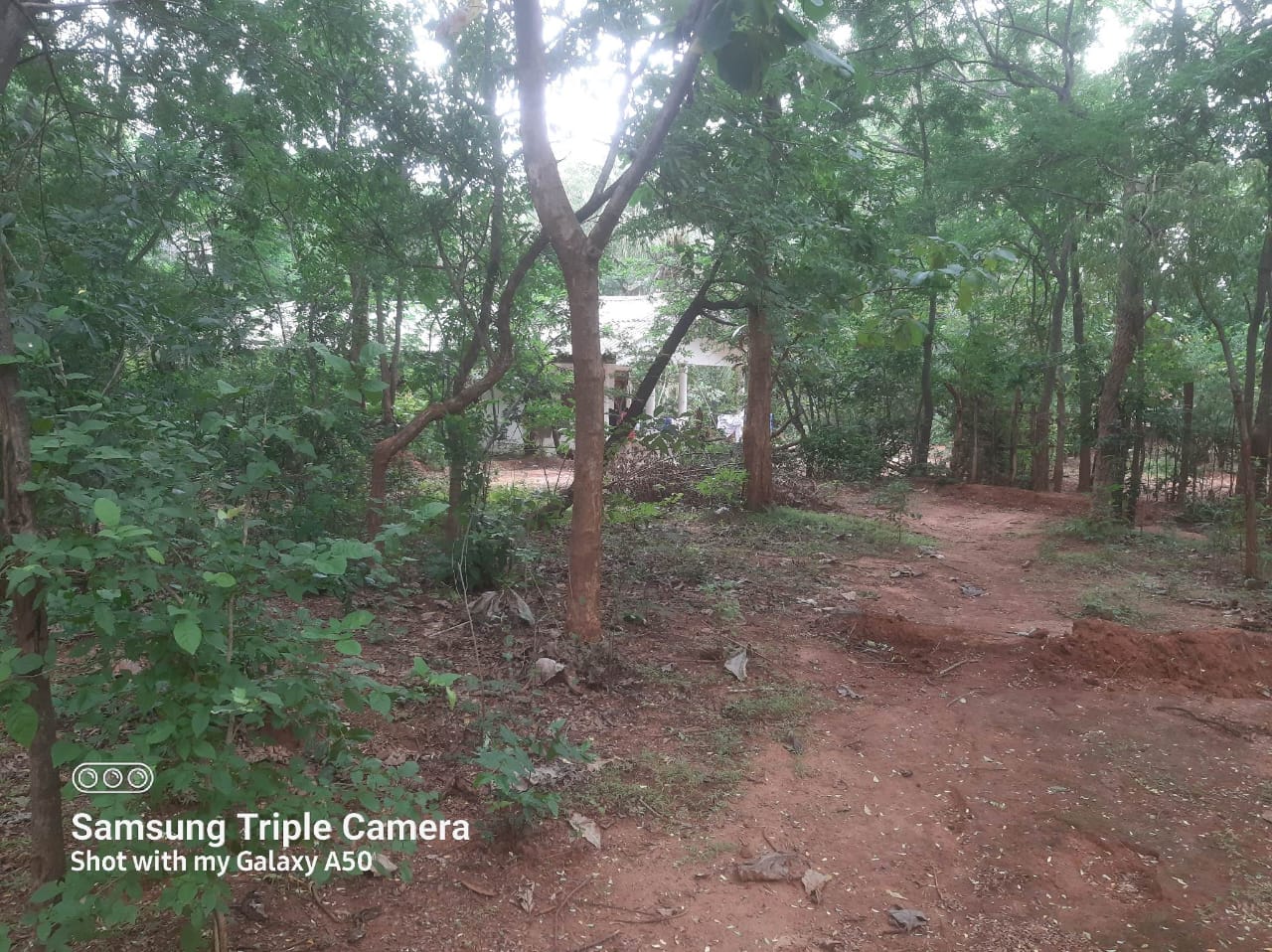 Land for Sale in Kataragama