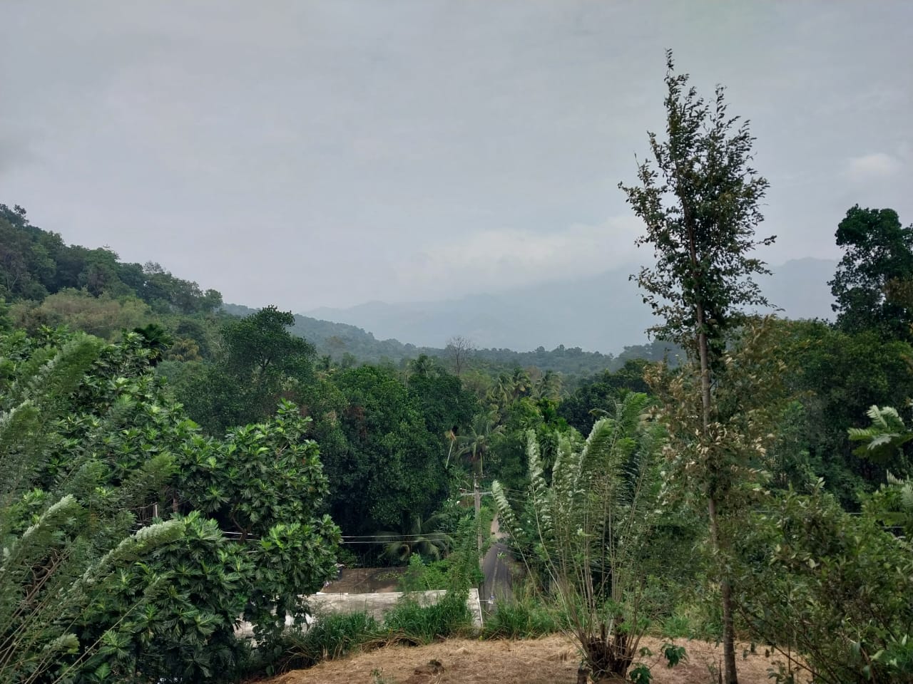 ඉඩමක් – කරදගොල්ල ඇල්ල