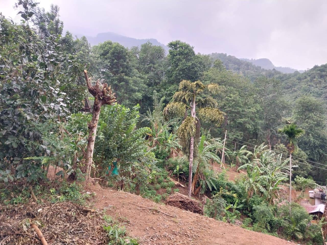 ඉඩමක් – කරදගොල්ල ඇල්ල