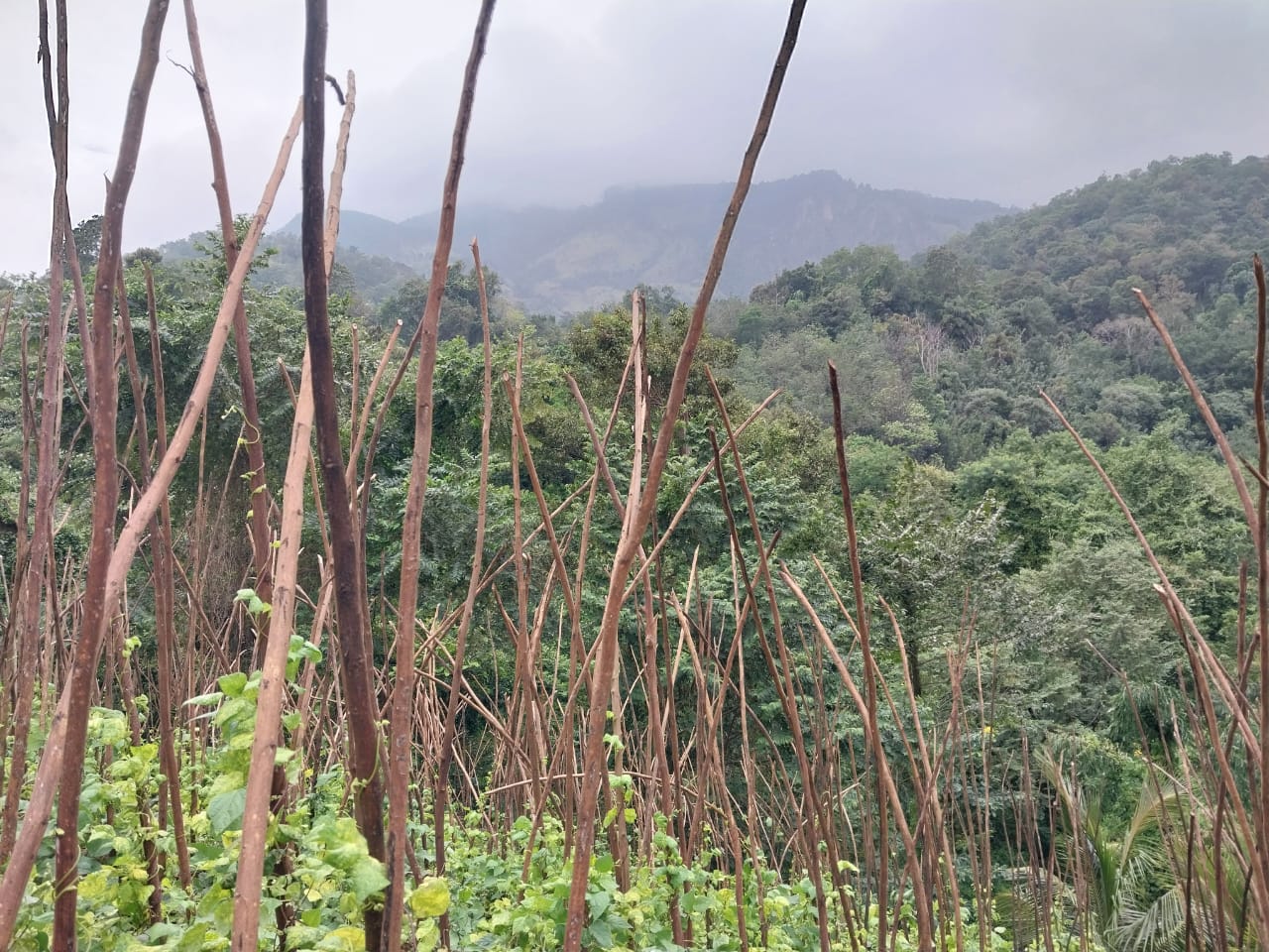 ඉඩමක් – කරදගොල්ල ඇල්ල