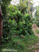 Land for Sale Matara