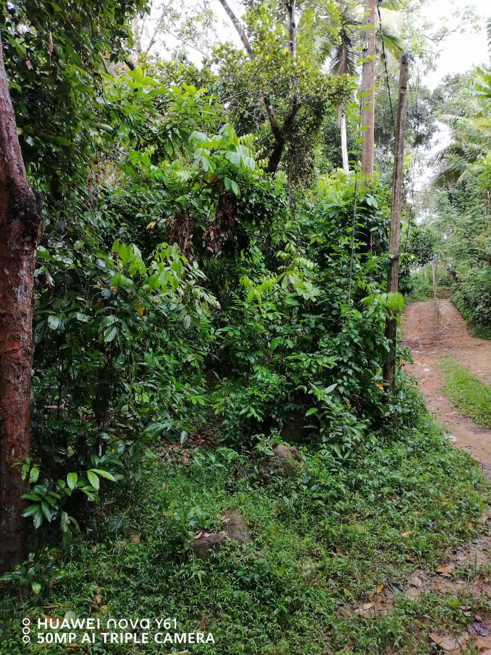 Land for Sale Matara
